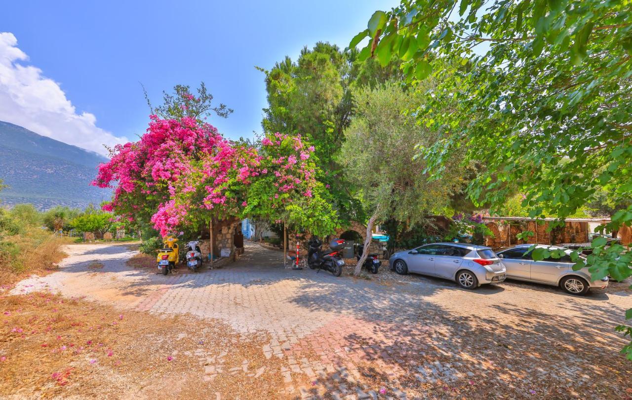 La Salvia Hotel Kaş Zewnętrze zdjęcie